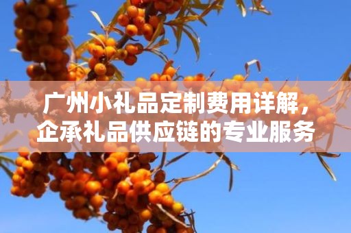 广州小礼品定制费用详解，企承礼品供应链的专业服务
