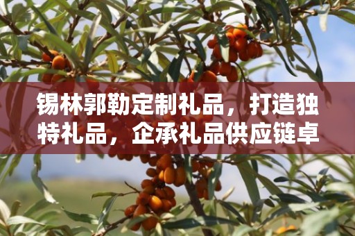 锡林郭勒定制礼品，打造独特礼品，企承礼品供应链卓越服务